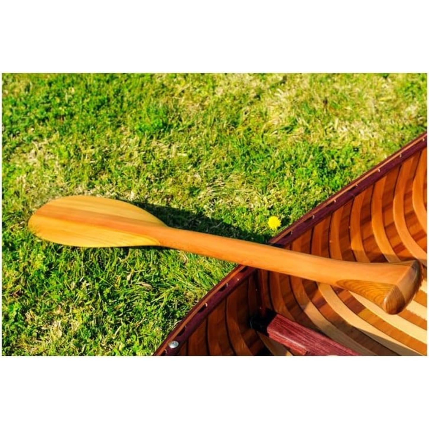 Global Greatness 6 ft Handcrafted Wooden Canoe with Ribs | Canadian Red Cedar, Fiberglass Encased