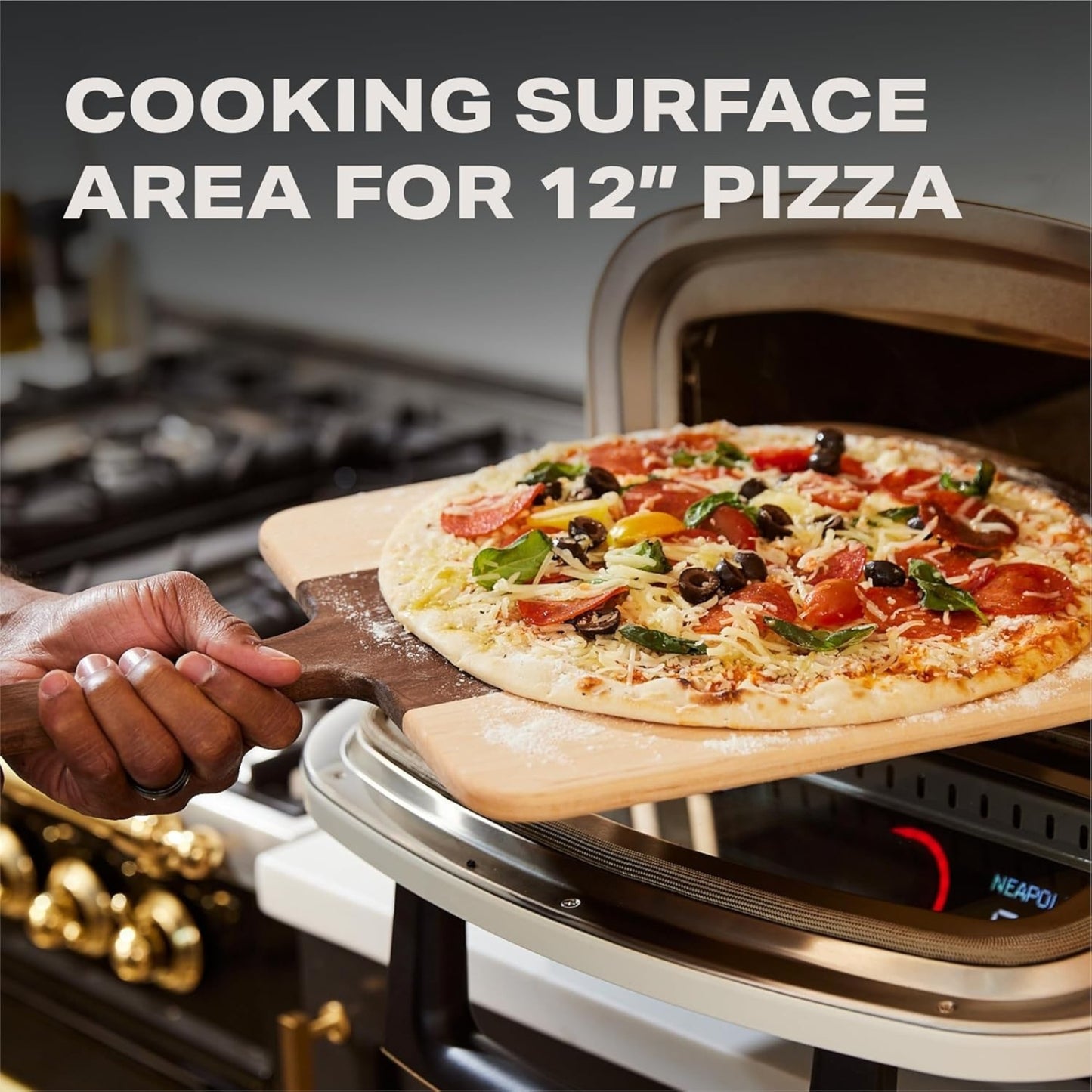 Model P Smart Electric Pizza Oven 12-Inch 850°F Max Heat, App Control, 5 Cooking Modes, Indoor/Outdoor