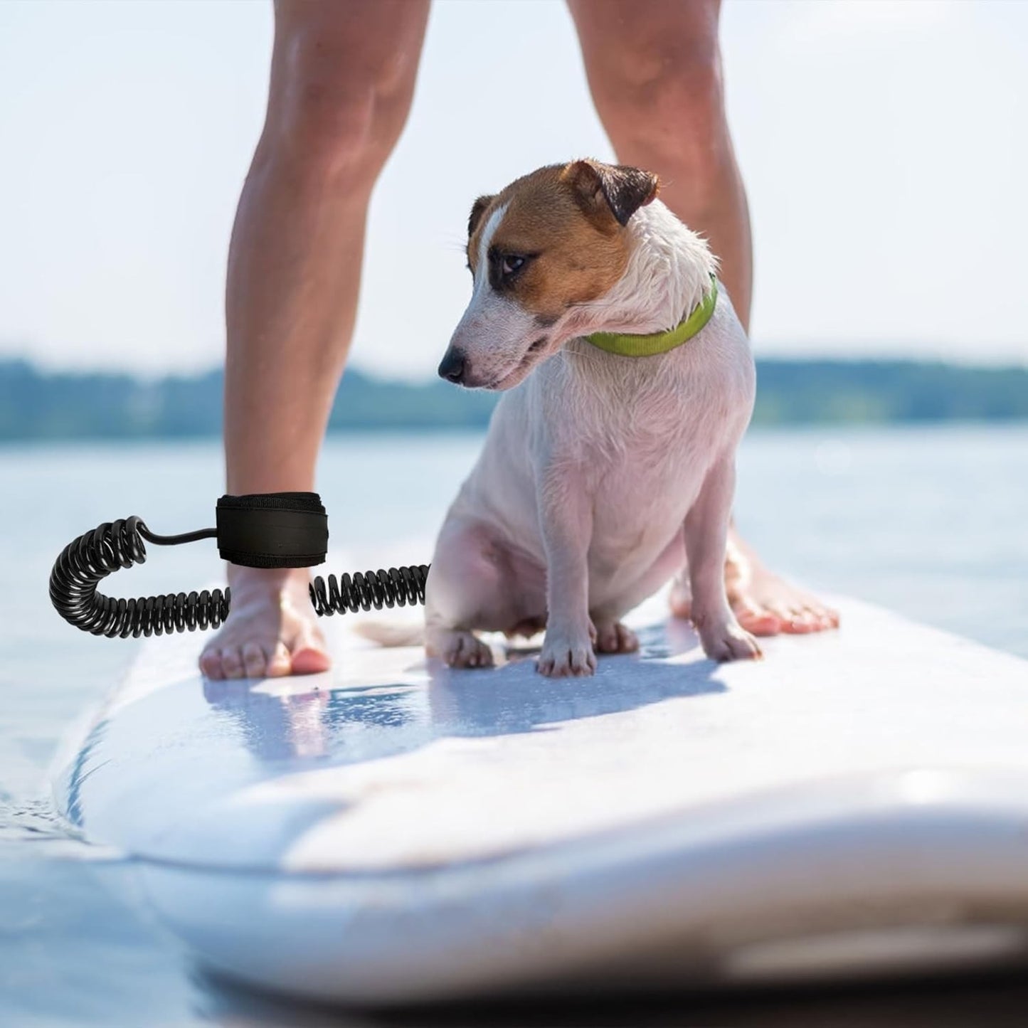 premium-10ft-coiled-paddle-board-leash-7mm-thick-sup-leg-rope-strap-for-longboards-isups